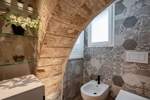 Shower, hair dryer, bidet, towels