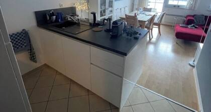 Nice apartment with terrace on the ski slopes