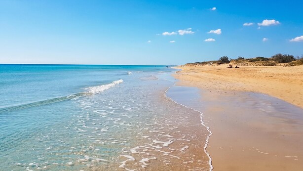 Une plage à l’eau claire, au rivage sablonneux et à la végétation clairsemée.