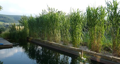 Luxuriöse Ferienwohnung in Bad Pyrmont
