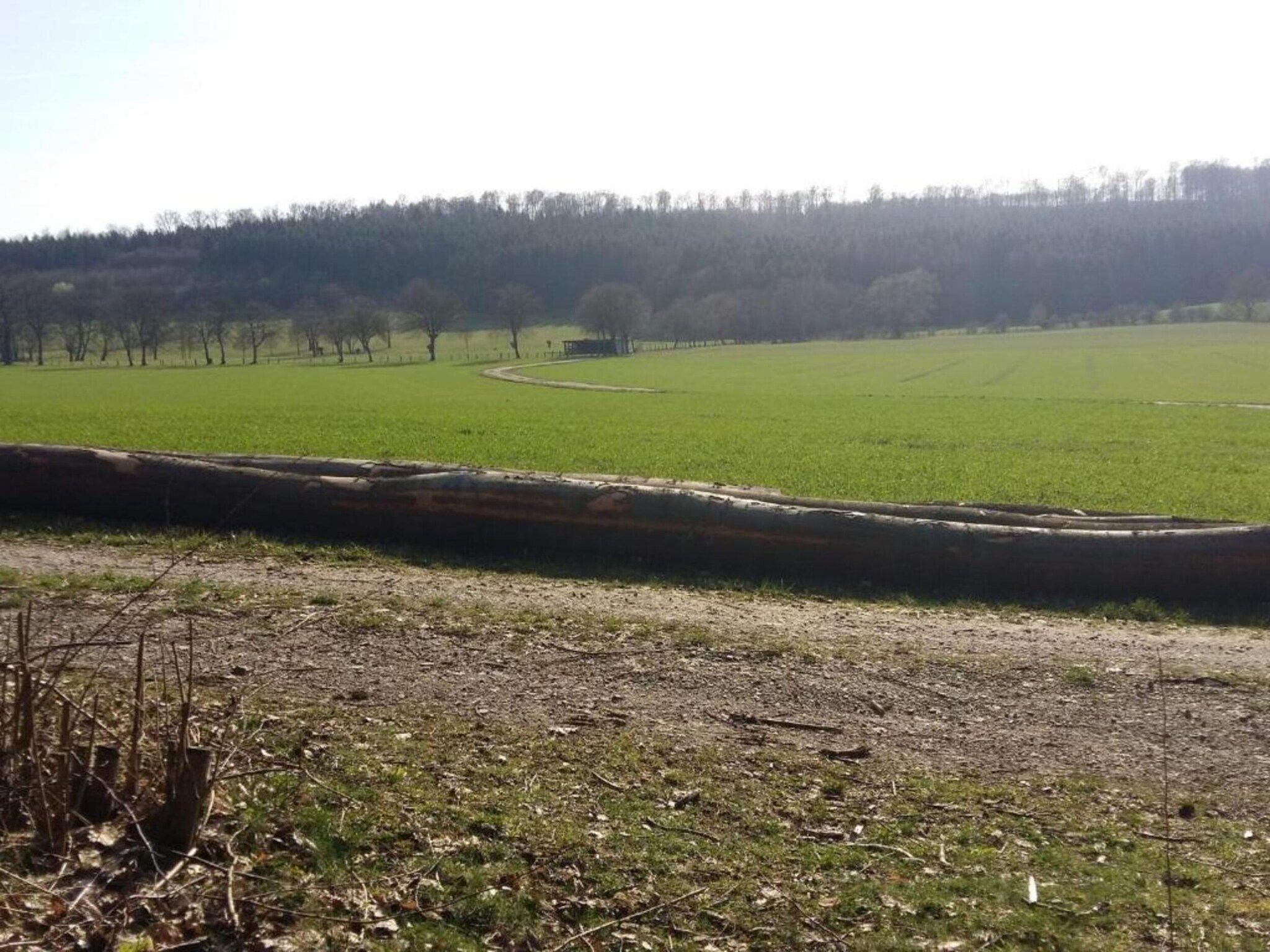 A rural landscape with a field, trees, and a fence.