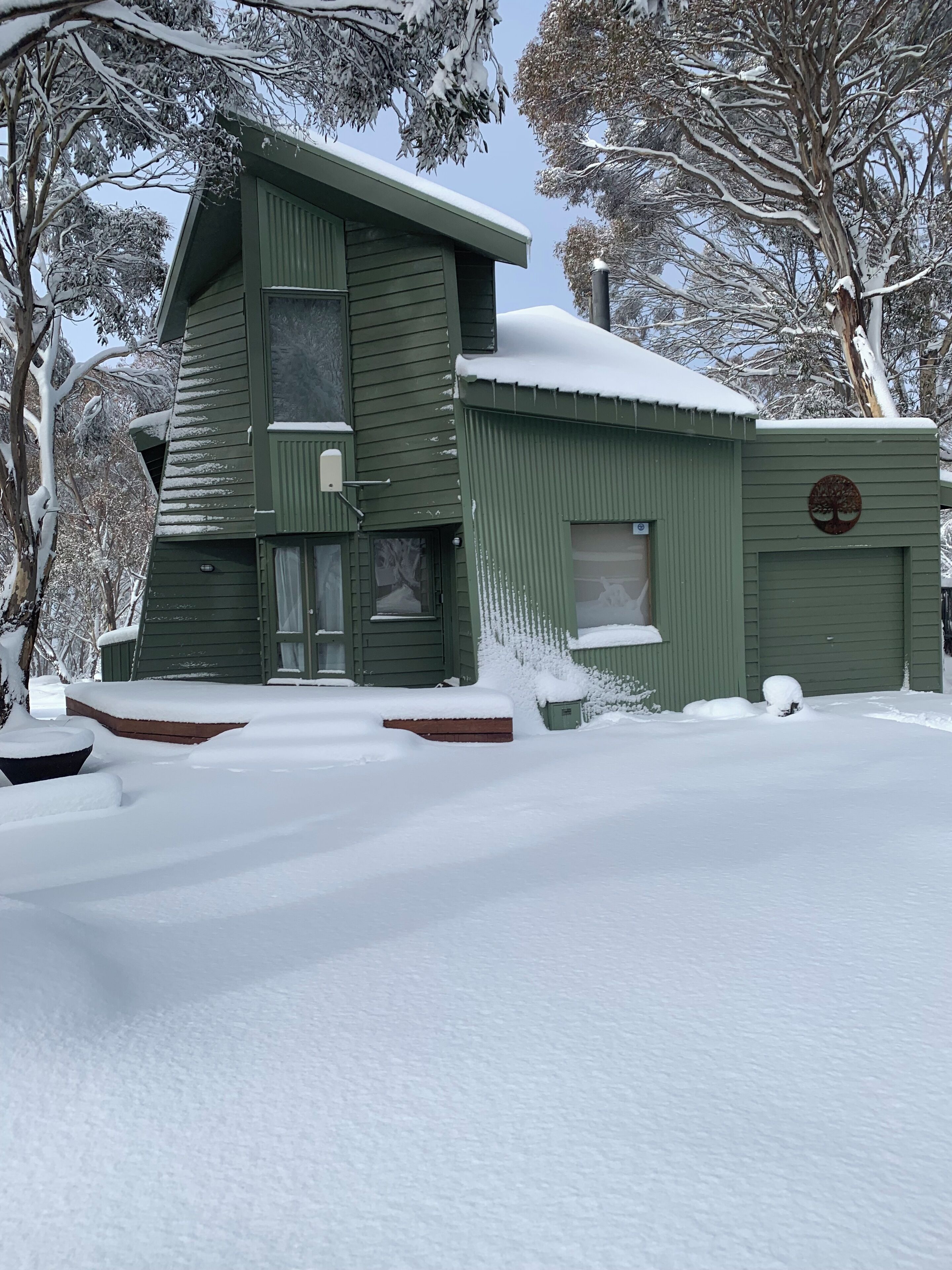 A two-story house with a green exterior, surrounded by snow-covered trees.