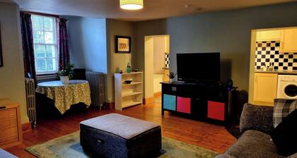 A Basement Apartment