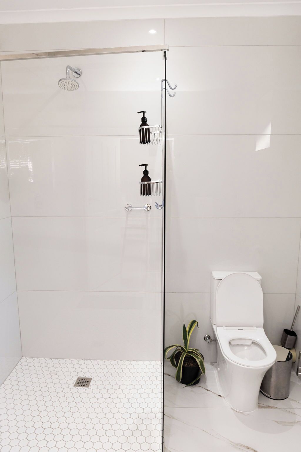 A modern bathroom with a glass-enclosed shower, a toilet, and a potted plant.