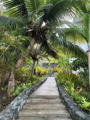 Áreas de la propiedad