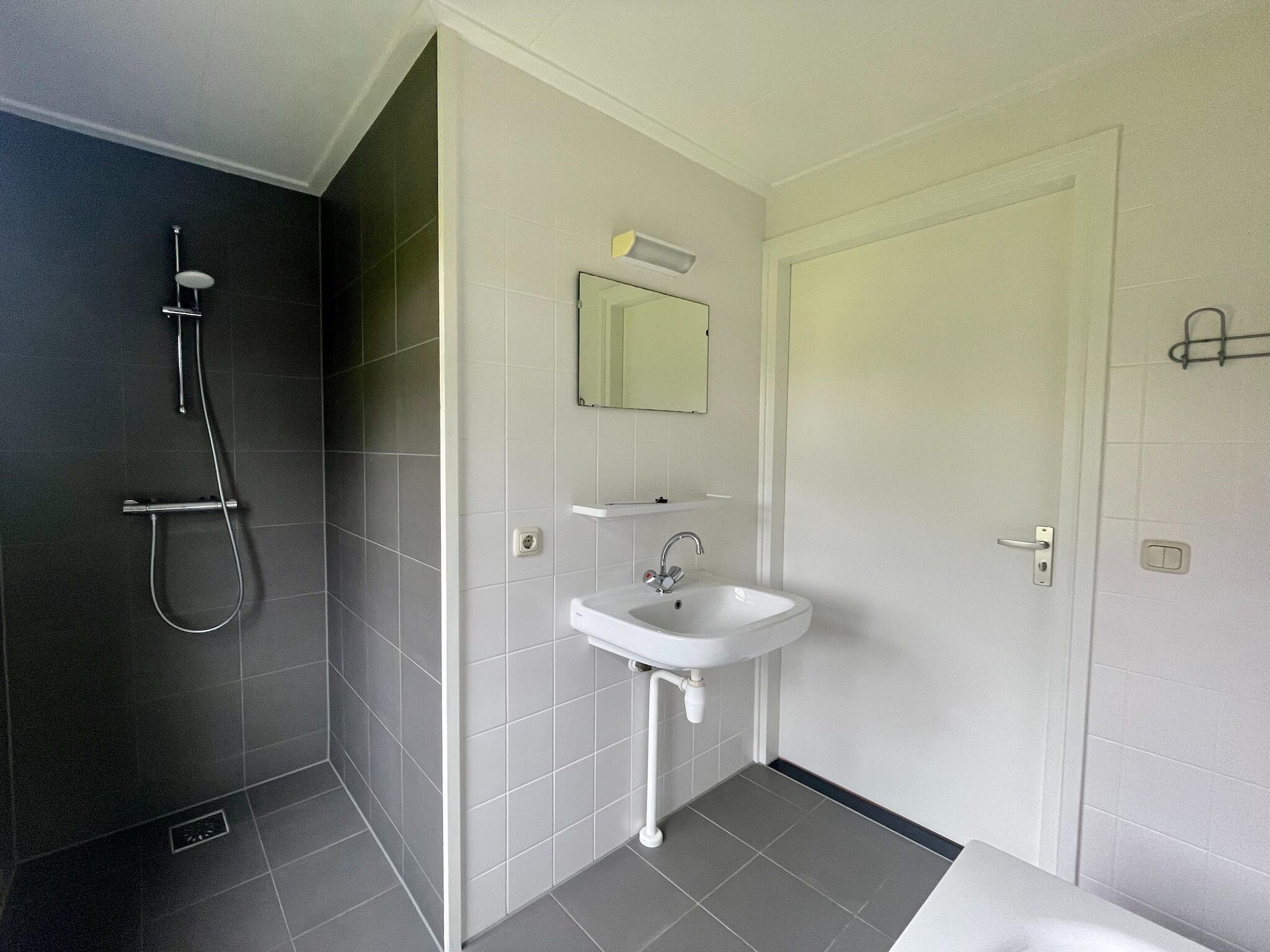 A bathroom with a shower, sink, and mirror.