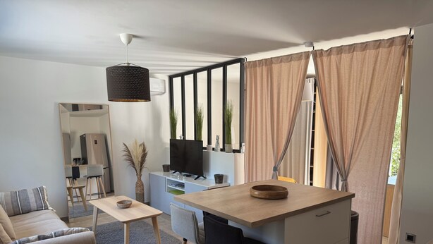 Een moderne keuken met een centraal eiland, een zithoek met een bank en stoelen, en een woonruimte met een televisie en decoratieve planten.
