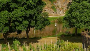A serene outdoor setting with a pond, trees, and a lamp post.