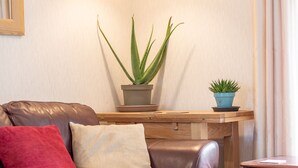 Un sofá de cuero con cojines rojos y color beige, una mesita de madera con dos plantas en macetas, y una silla de madera.