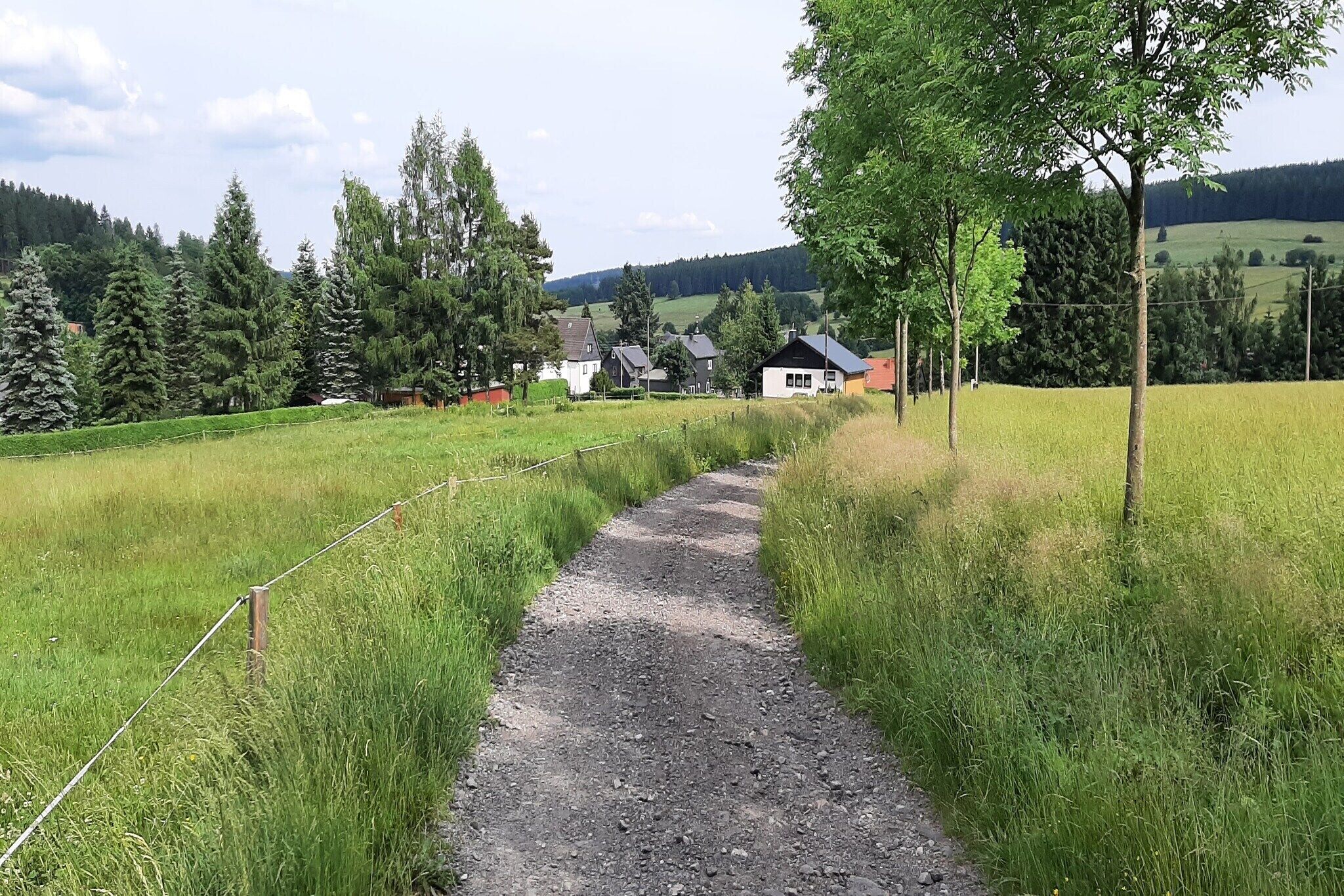 A rural path leading to a row of houses surrounded by trees and open fields.