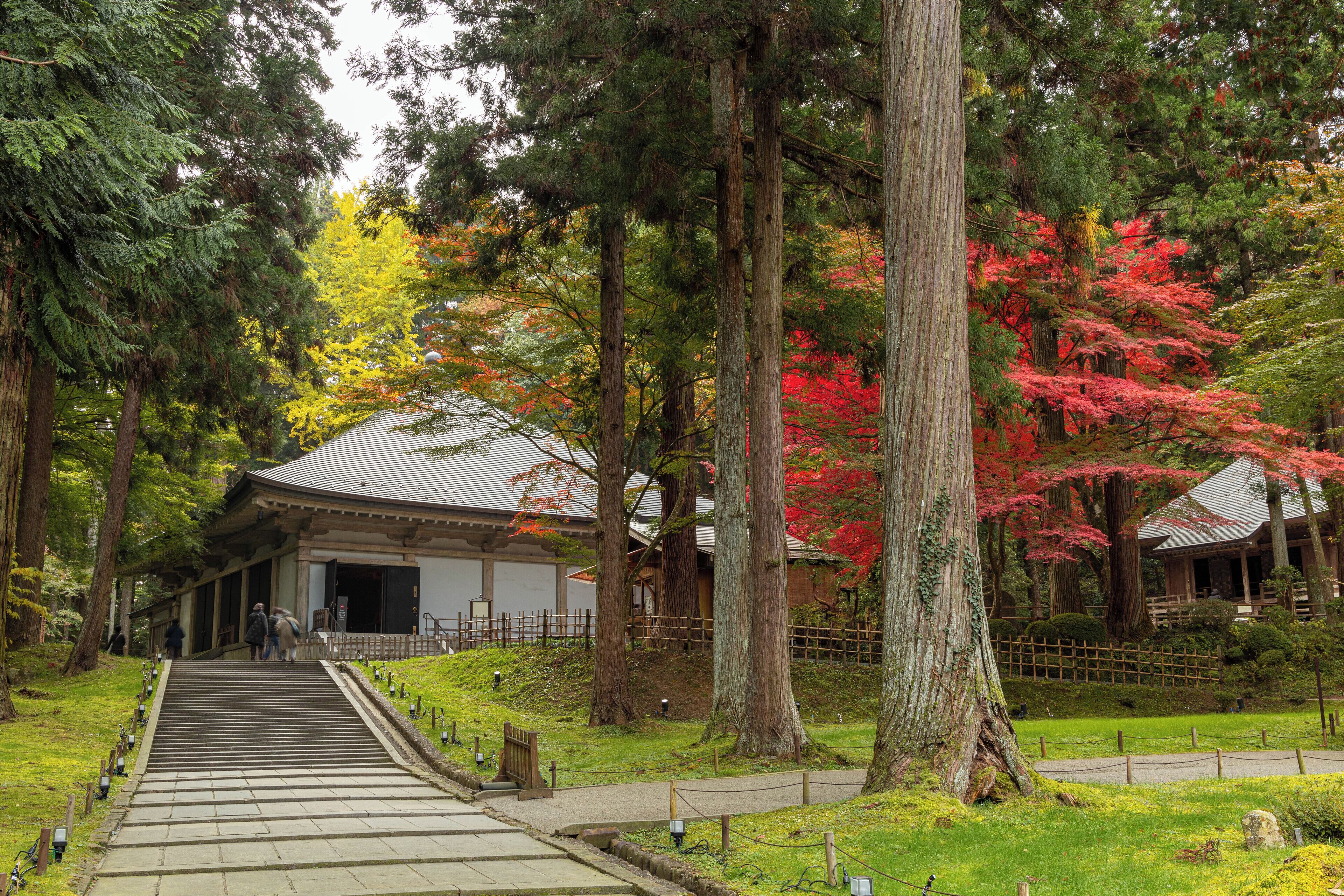 Un edificio japonés tradicional con tejado inclinado, rodeado de árboles con follaje otoñal.