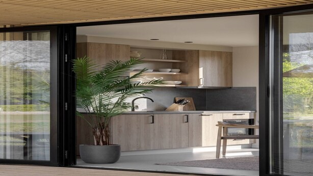 Una cucina moderna con mobili in legno, un'ampia pianta in vaso e una zona pranzo con una sedia.
