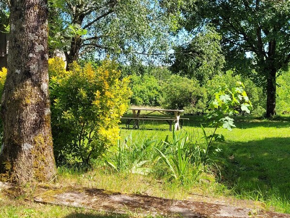 Un parque con una mesa de picnic rodeada de árboles y follaje.