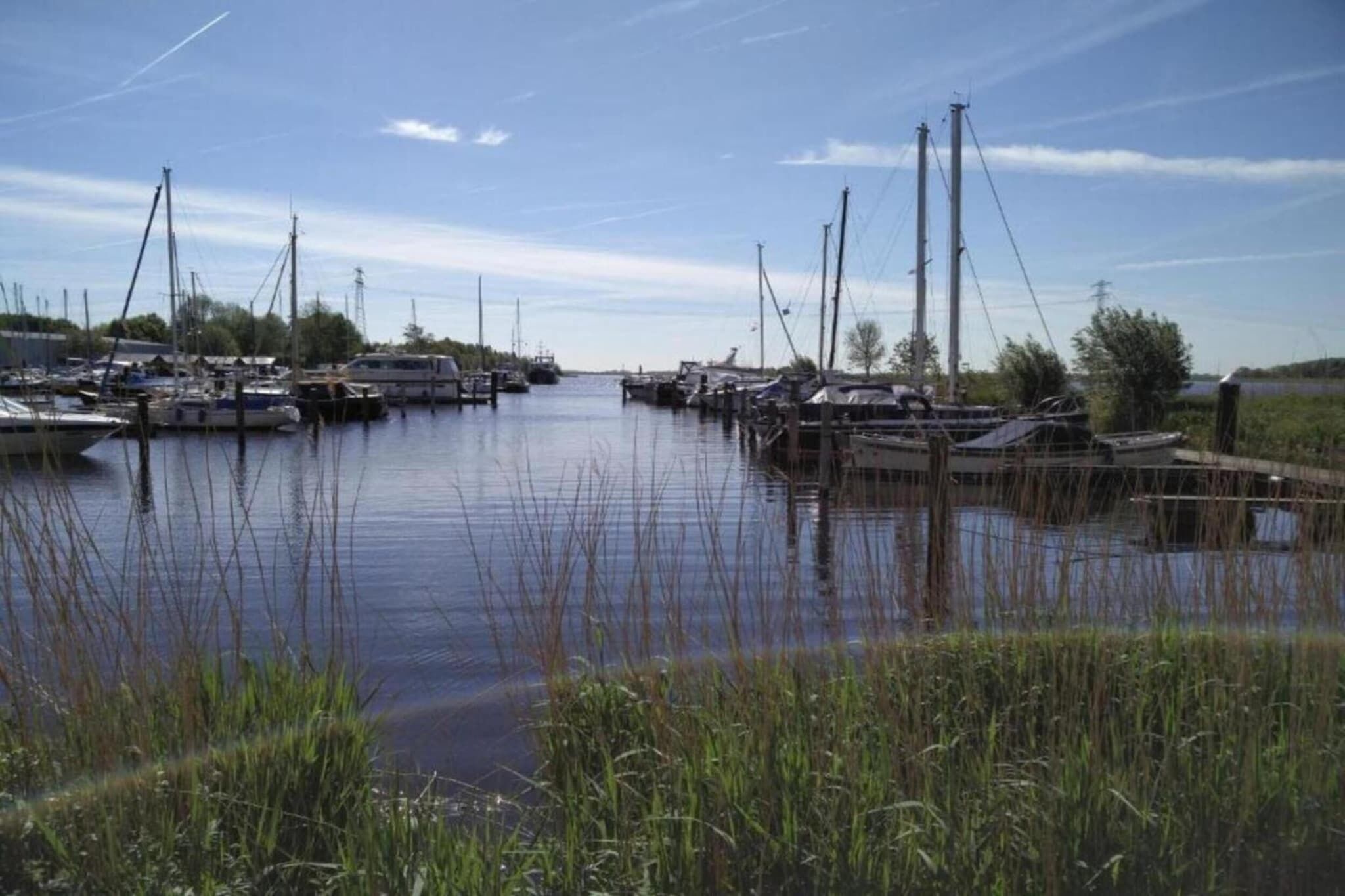 A marina with boats docked, surrounded by water and vegetation.