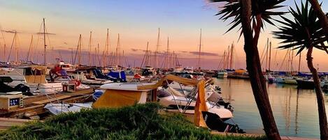 Marina