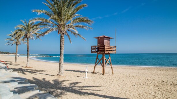 Ein Strand mit Palmen und einem Rettungsturm.