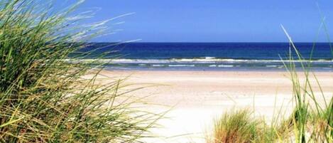 Praia