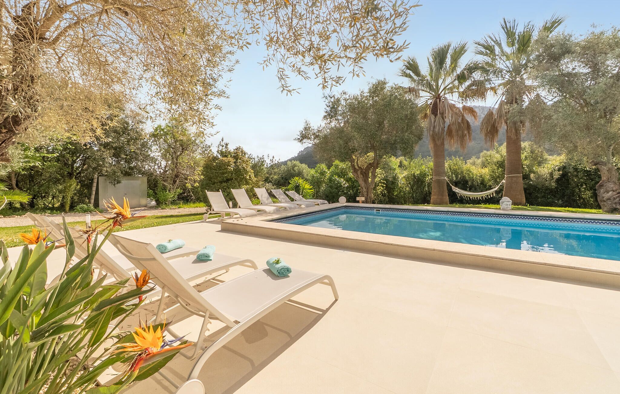 A pool area with lounge chairs, a clear blue pool, and surrounding greenery.