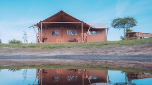 Een rustieke hut met een spiegelbeeld in kalm water, omringd door grasvelden en een kleine boom.