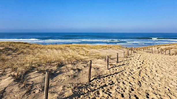 Una playa arenosa con una valla de madera que da al océano.