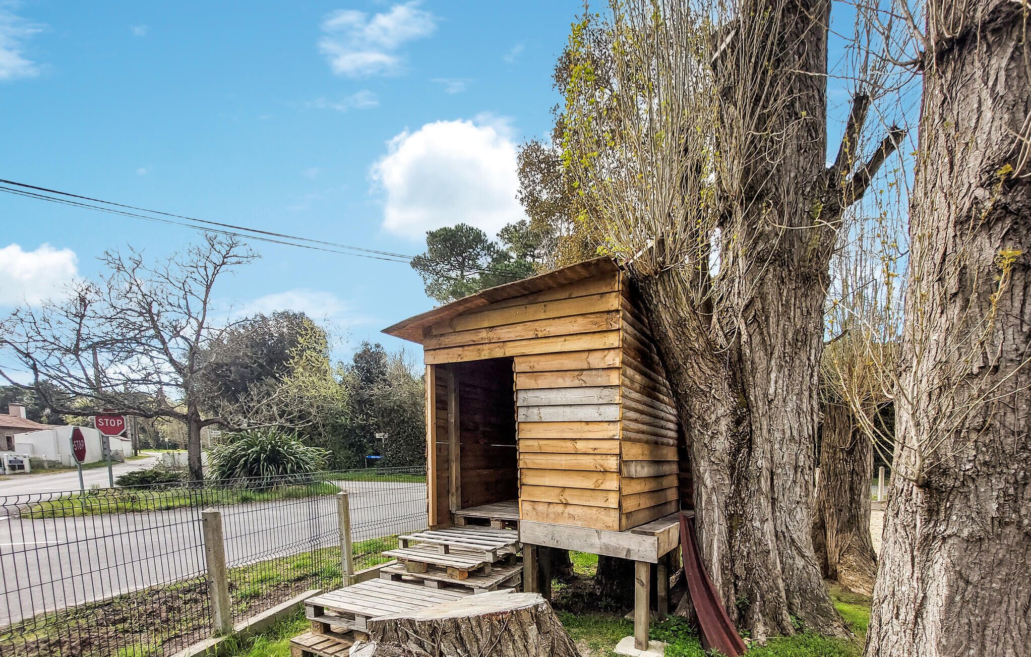A rustic wooden cabin with a porch, situated next to a large tree.