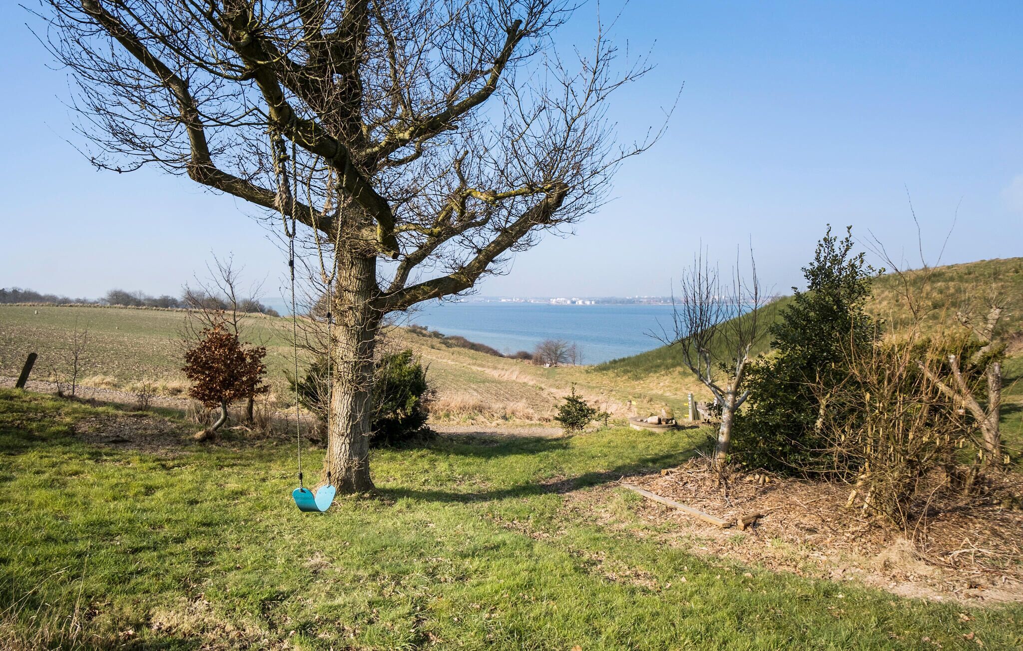 A tree in a grassy field with a view of a body of water and distant buildings.