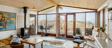 Smart TV y chimenea