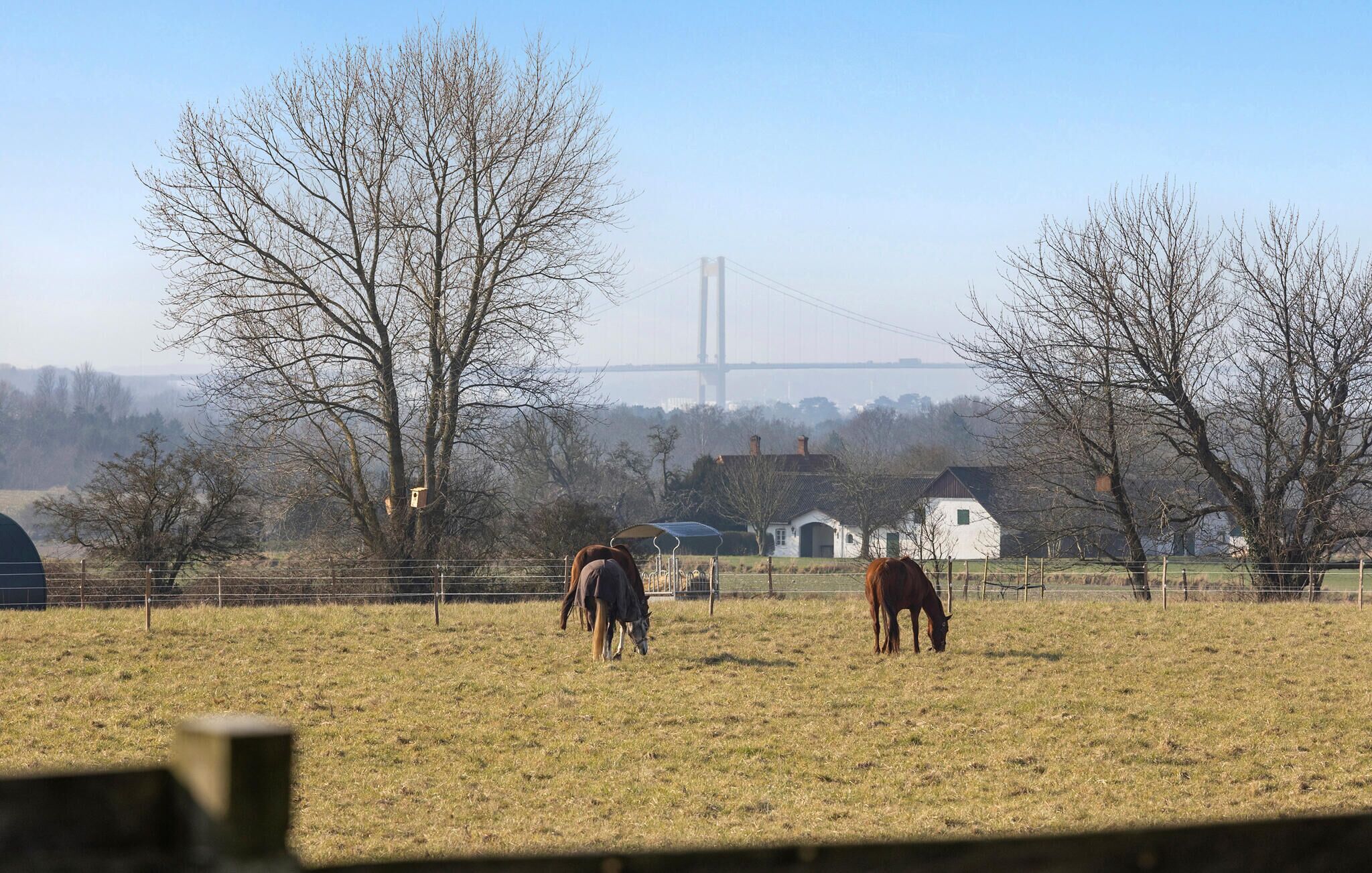 Paesaggio rurale con cavalli al pascolo in un campo recintato, un ponte sullo sfondo e case in lontananza.