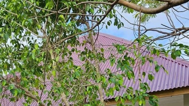 A house with a corrugated metal roof, a wooden door, and a window with a wooden frame. - Z-VILLAGE LODGE (Jambiani)