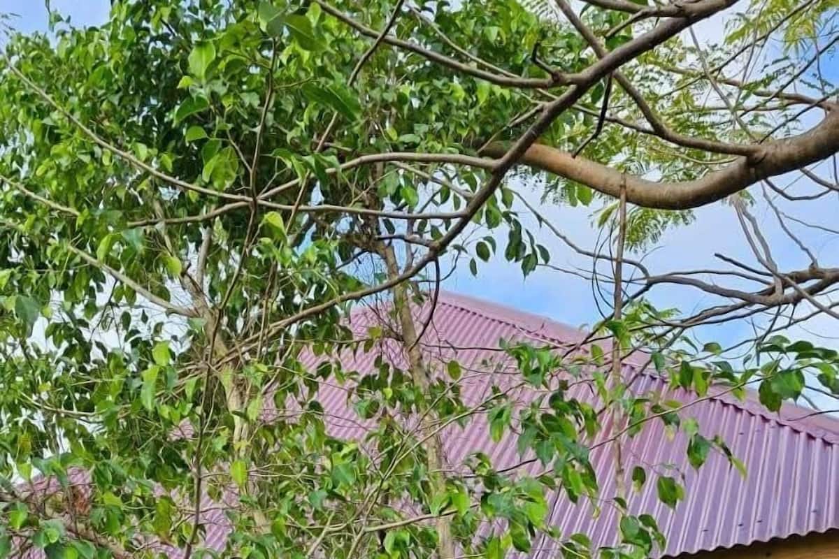 Phòng đôi tiện nghi đơn giản, ban công, quang cảnh vườn | Khu vực làm việc phù hợp cho laptop