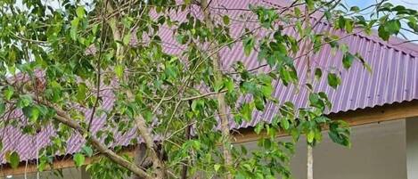 Comfort-Doppelzimmer, Balkon, Gartenblick