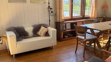 TV, fireplace, DVD player, ping pong