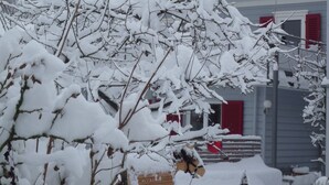 A snow-covered residential area with a house, a dog on a leash, and a mailbox. - Holiday Home 'Kunterbunt' with Private Terrace, Shared Garden and Wi-Fi (Lindau)