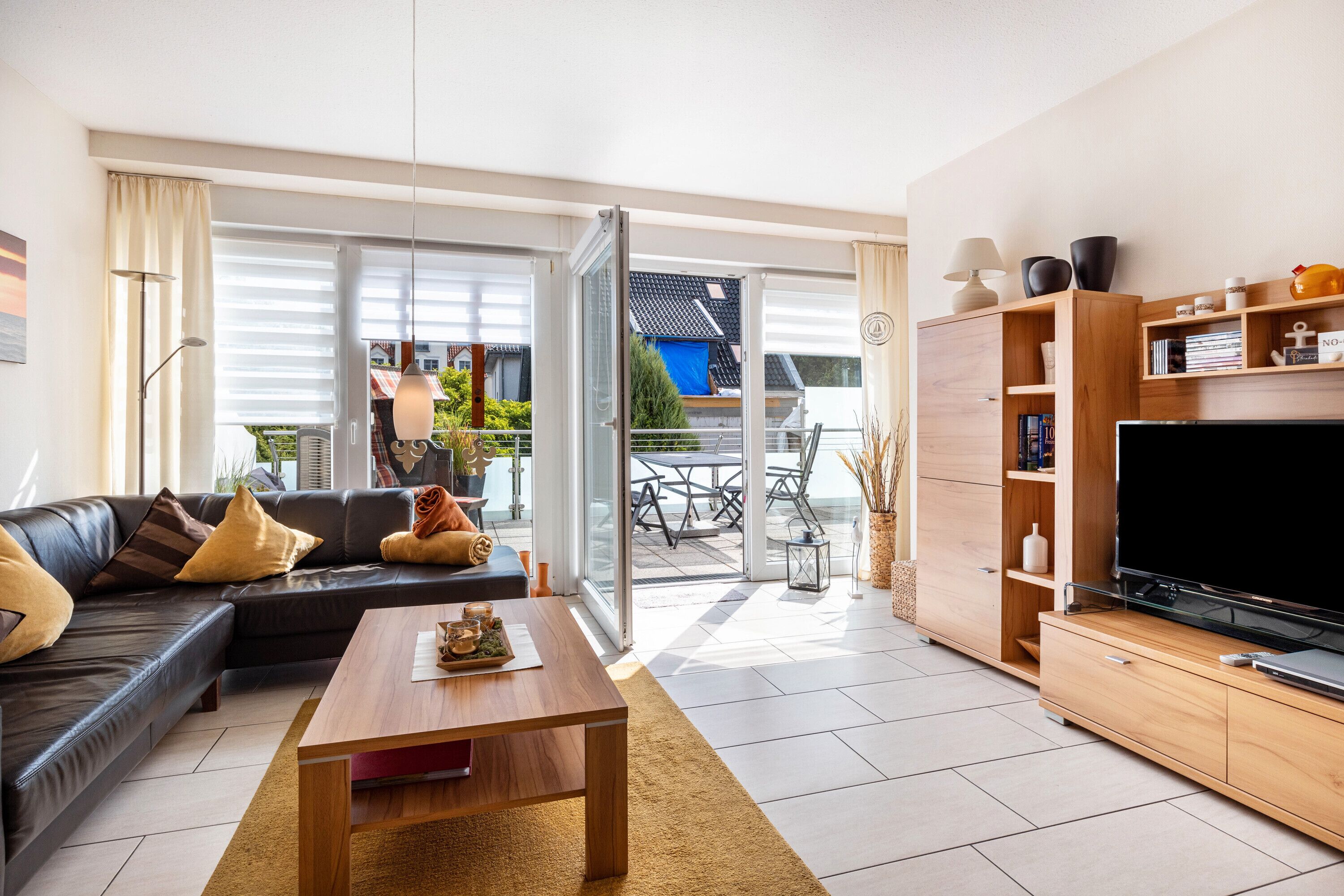 电视、DVD 播放器