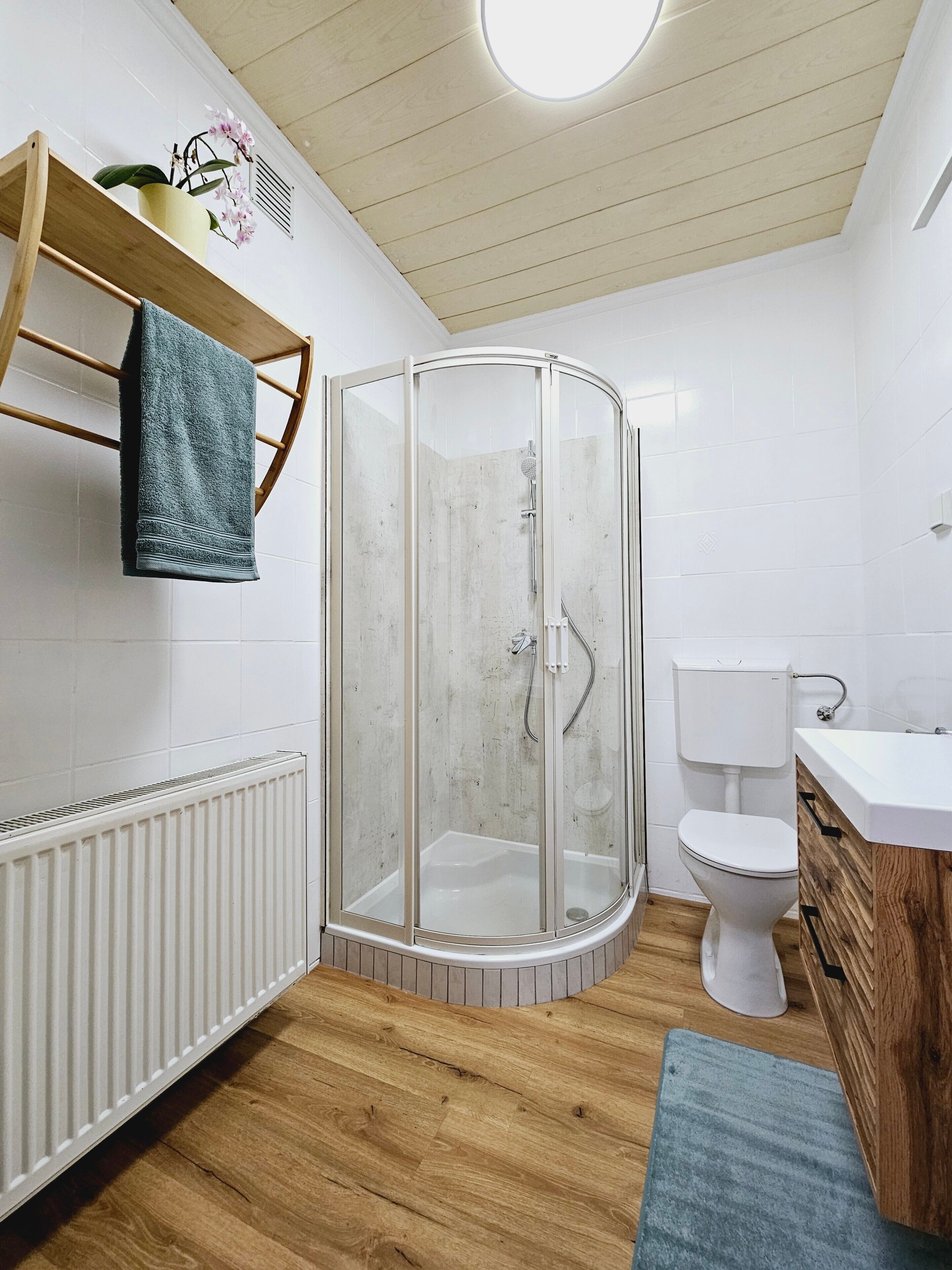 Shower, hair dryer, towels