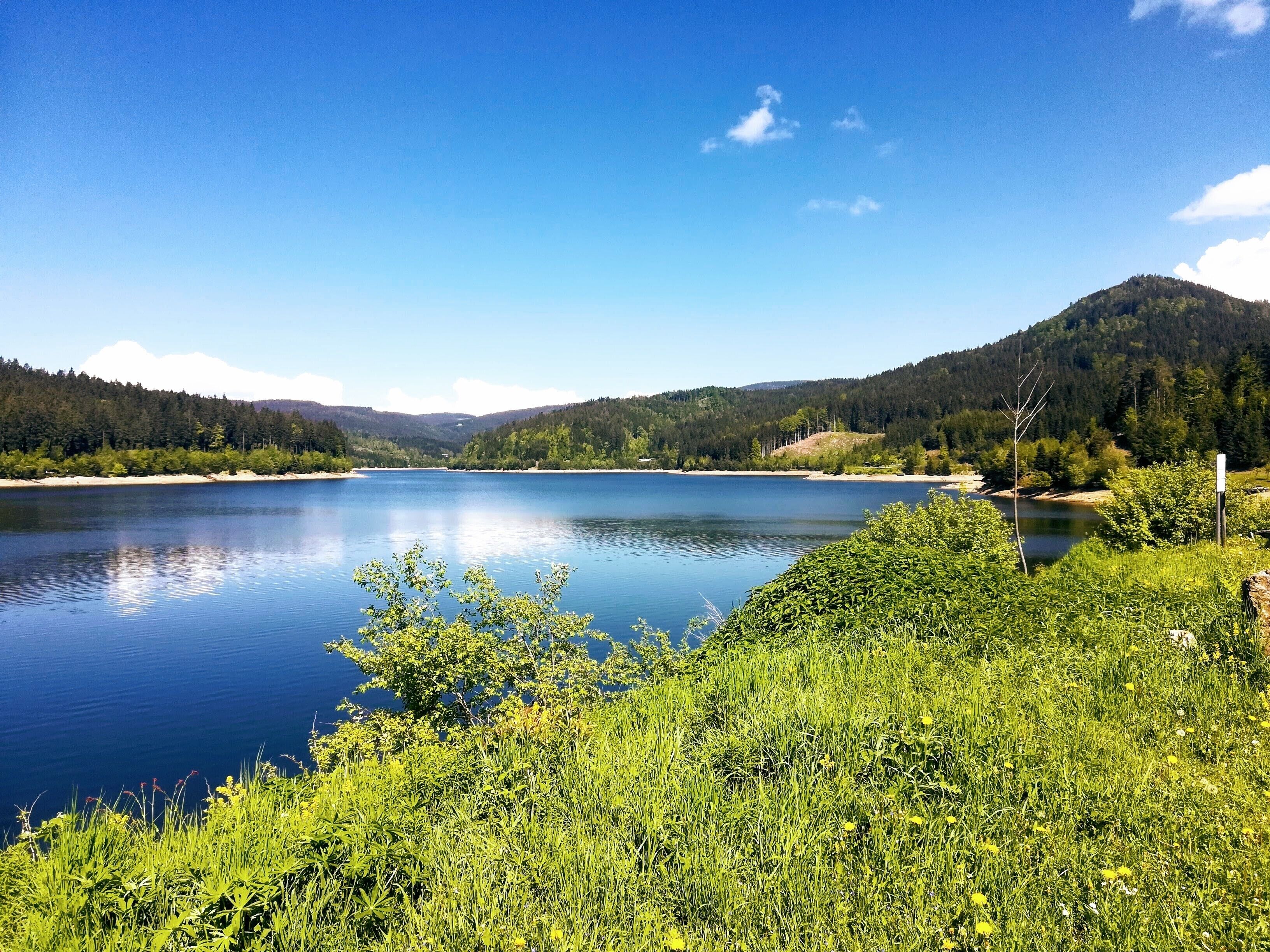 Un lago sereno rodeado de vegetación exuberante y colinas.