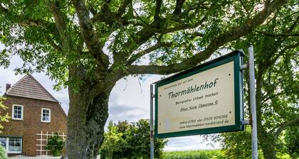 Ferienwohnung 'Hooge' mit privater Terrasse, Gemeinschaftsgarten und Wi-Fi