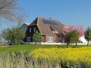 Une maison avec un toit en pente, des panneaux solaires, une clôture blanche en bois et un champ de fleurs jaunes.