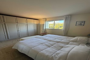 1 chambre, fer et planche Ă repasser, accĂšs Internet, draps fournis