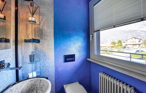 Shower, hair dryer