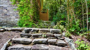 A stone staircase leading to a wooden door surrounded by lush greenery. - Point of View (Fairview)