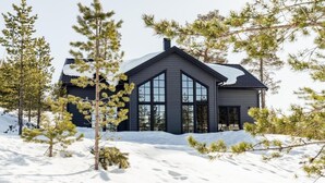Une maison moderne, à l’extérieur sombre, dotée de grandes fenêtres et entourée d’un paysage enneigé, avec des arbres couverts de neige.