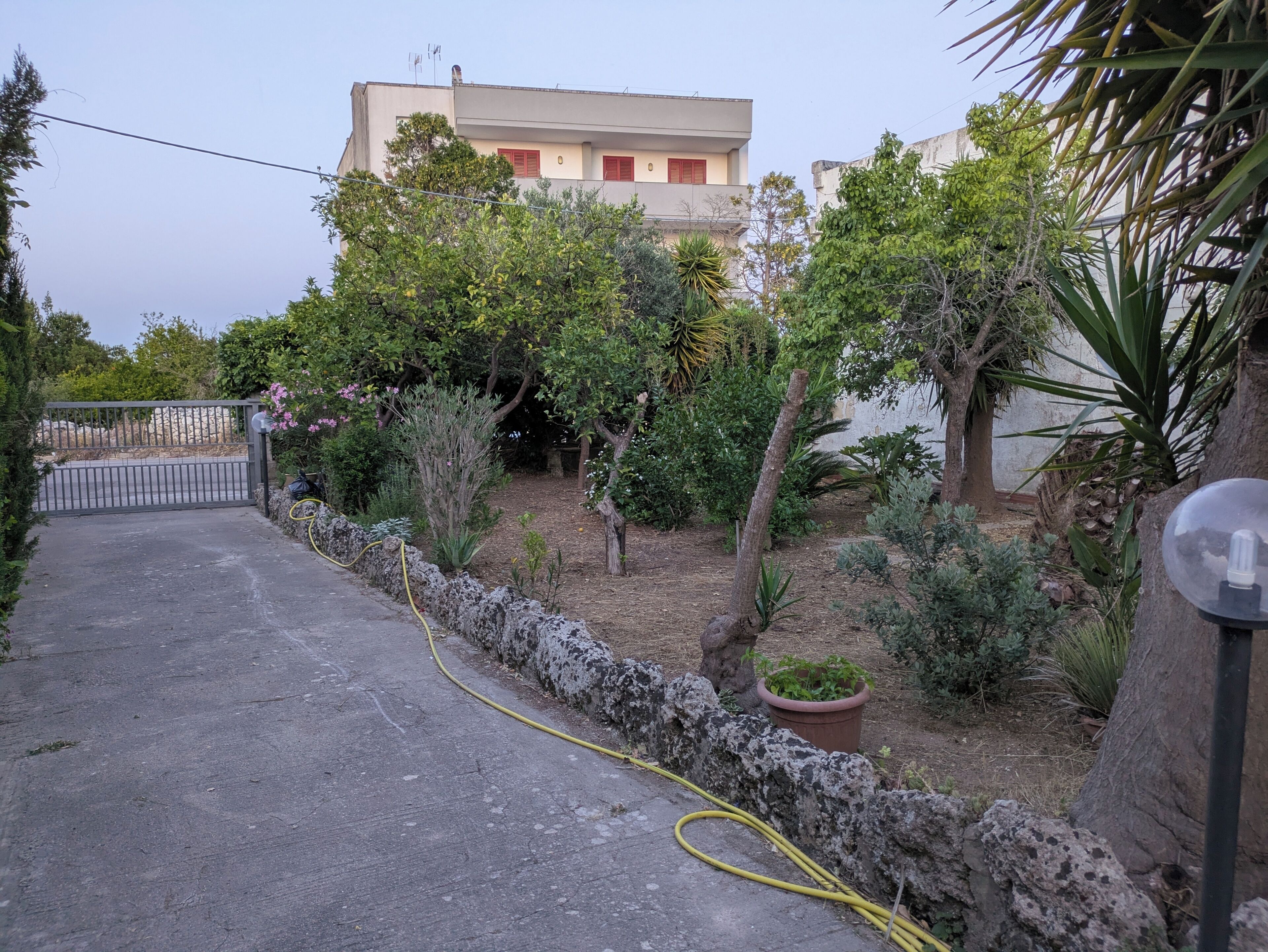 Jardim