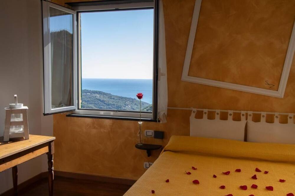 Lookyhotel