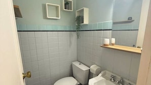 Een kleine badkamer met toilet, wastafel en spiegel.