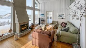 TV, fireplace, DVD player