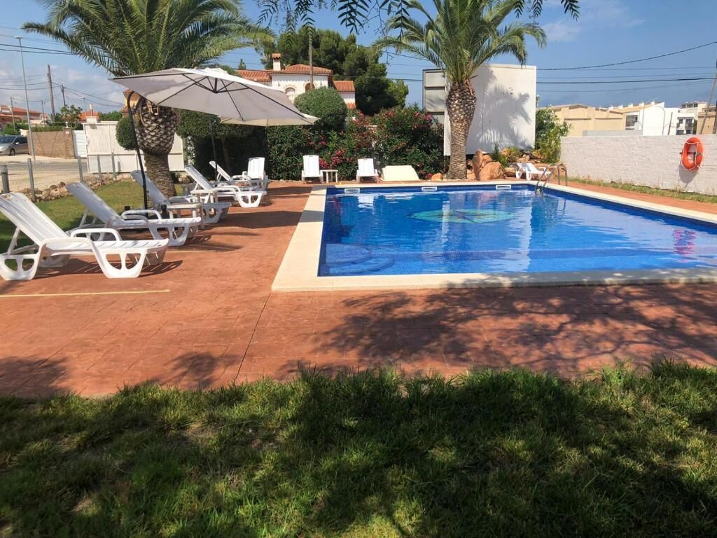 Piscina con sillas de descanso y sombrillas, rodeada de palmeras y un patio de ladrillo.