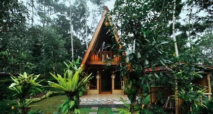 Sanda Eco Cabins by AGATA