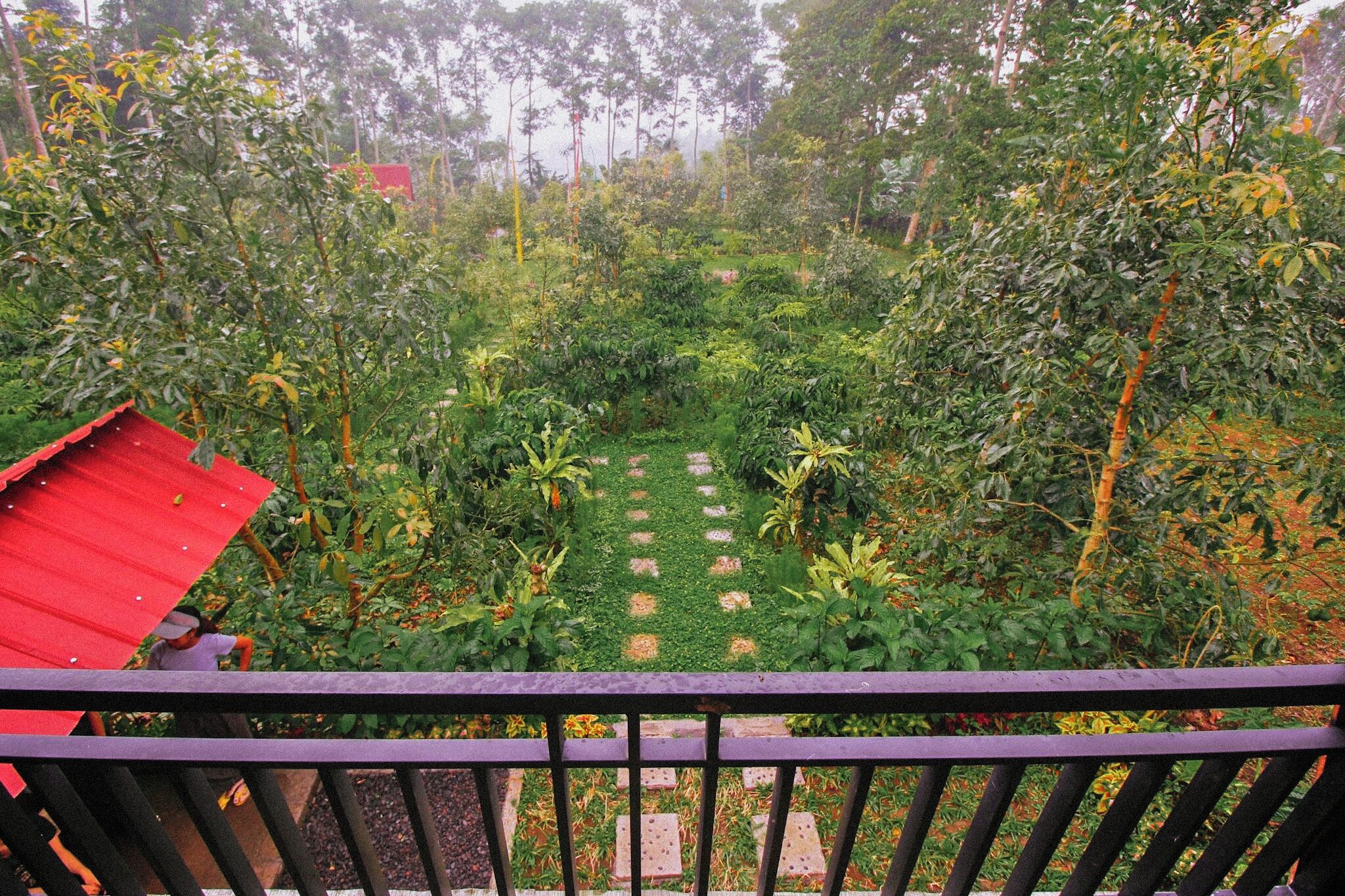 Un giardino con un sentiero, immerso nel verde e con una costruzione dal tetto rosso.