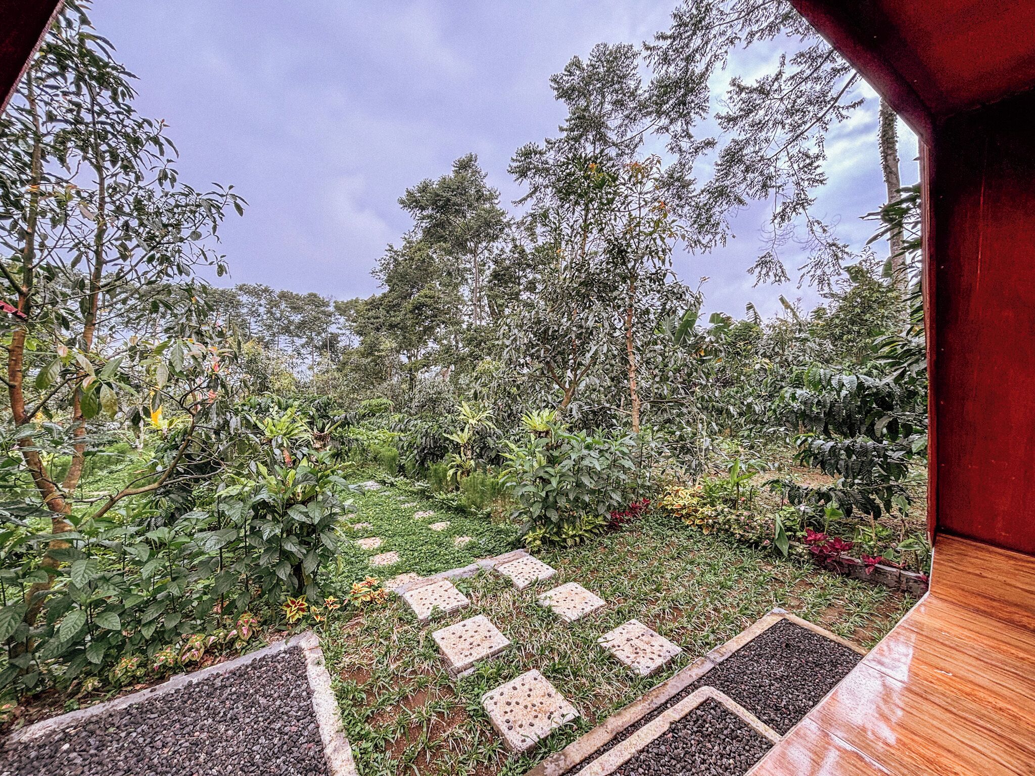 Um jardim com diversas plantas e um caminho pavimentado.